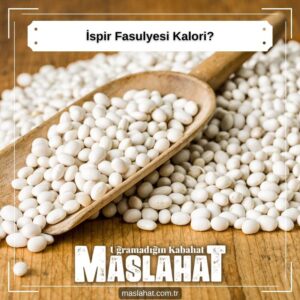 ispir Fasulyesi Kalori