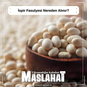 ispir Fasulyesi Nereden Alınır