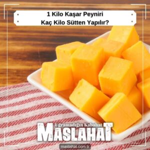 1 Kilo Kaşar Peyniri Kaç Kilo Sütten Yapılır