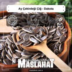 Ay Çekirdeği Çiğ - Dakota-4