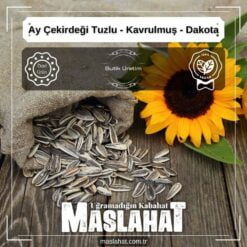 Ay Çekirdeği Tuzlu - Kavrulmuş - Dakota-1