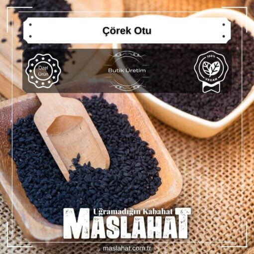 Çörek Otu-6