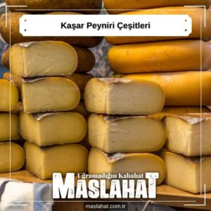 Kaşar Peyniri Çeşitleri