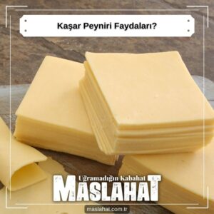 Kaşar Peyniri Faydaları?