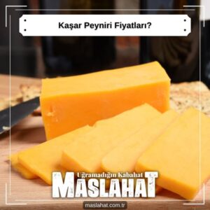 Kaşar Peyniri Fiyatları