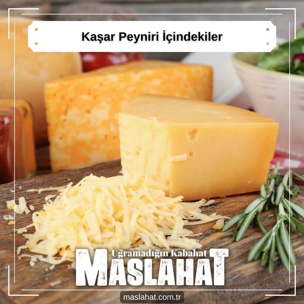 Kaşar Peyniri İçindekiler