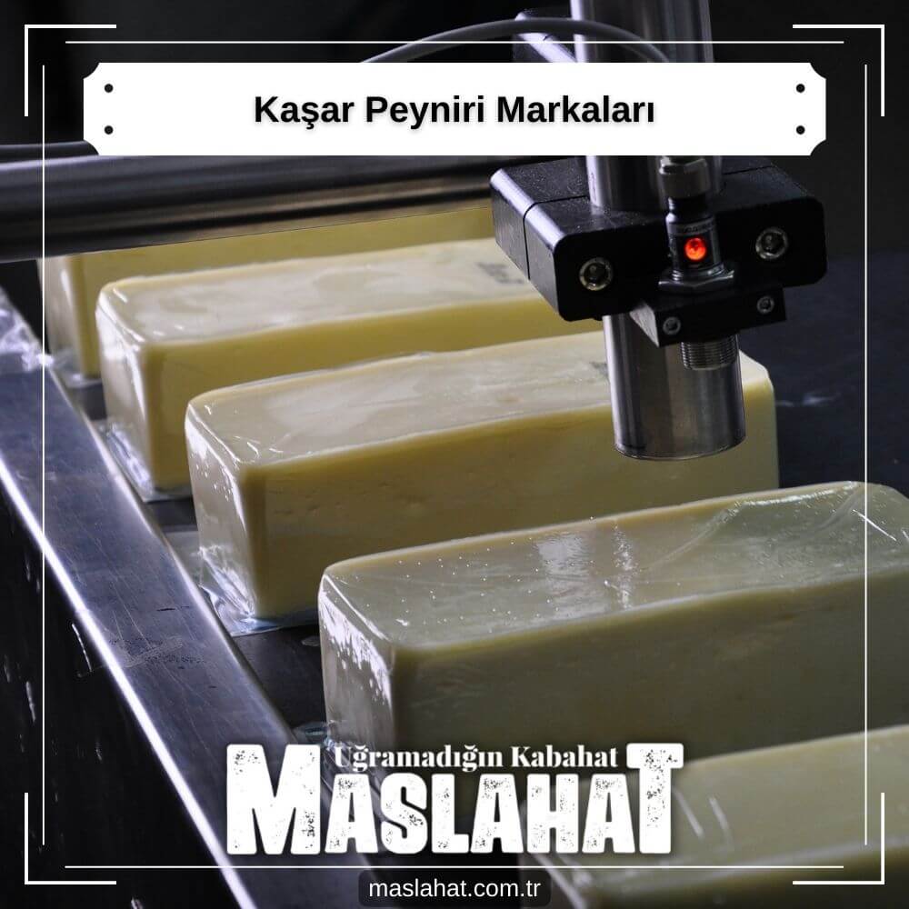 Kaşar Peyniri Markaları