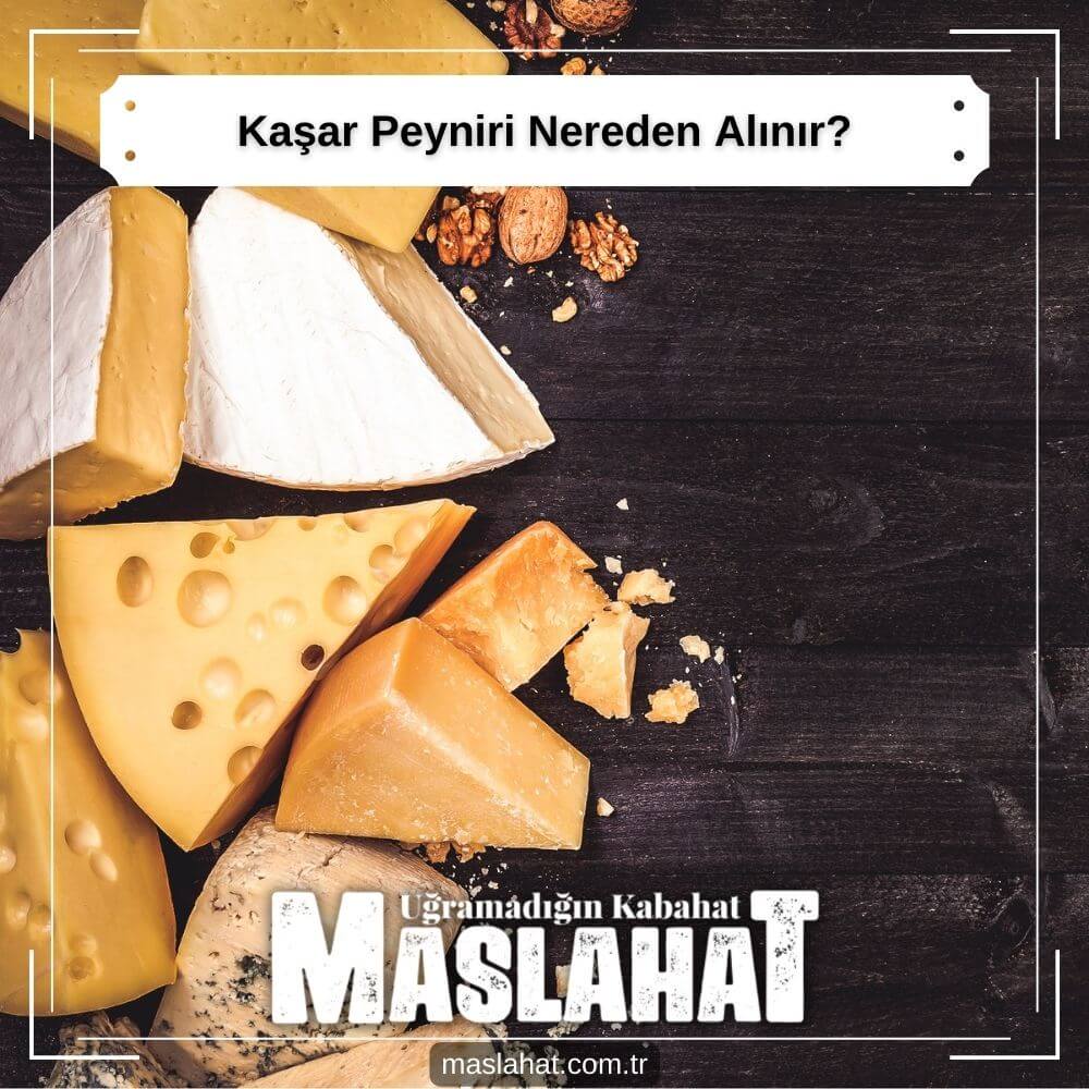 Kaşar Peyniri Nereden Alınır