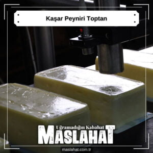 Kaşar Peyniri Toptan