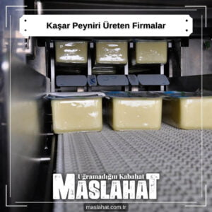 Kaşar Peyniri Üreten Firmalar