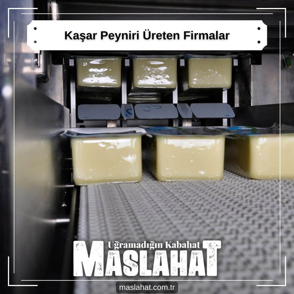 Kaşar Peyniri Üreten Firmalar