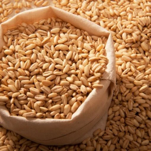 Çorbalık - Aşurelik Dövme (Yarma) Buğday - 1 Kg (Köy Den'i)-10
