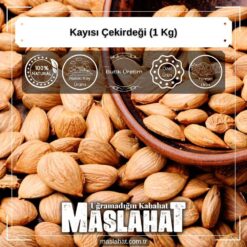 Kayısı Çekirdeği (1 Kg)-1