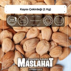 Kayısı Çekirdeği (1 Kg)-2