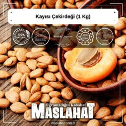 Kayısı Çekirdeği (1 Kg)-3