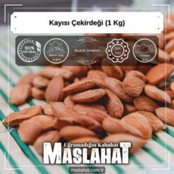 Kayısı Çekirdeği (1 Kg)-4