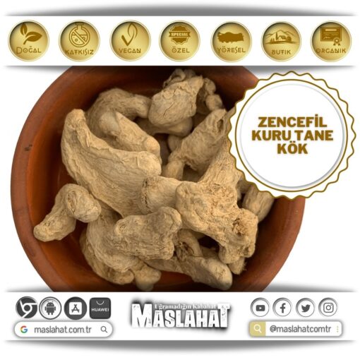 Zencefil - Kuru Tane - Kök